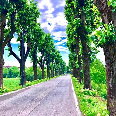 Parco Lonato